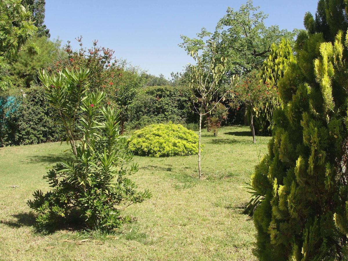 Apart Hotel צ'ילסיטו מראה חיצוני תמונה